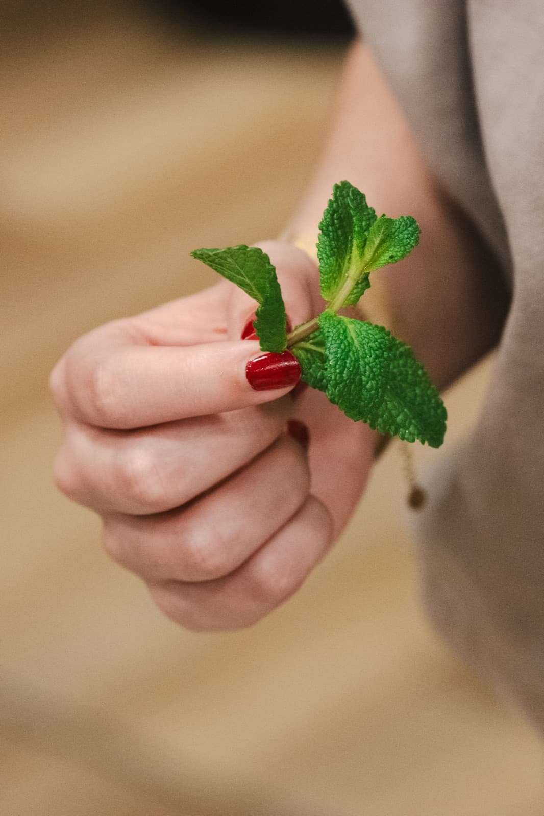 Рука тримає рослину — символ турботи і зростання